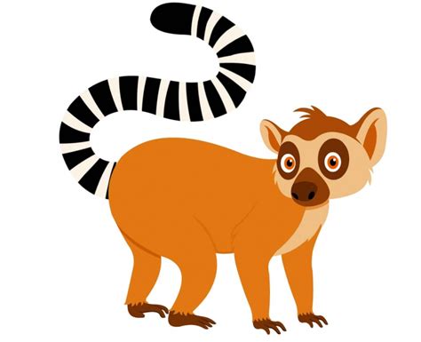 Lemur Animated Clipart Classroom Clip Art