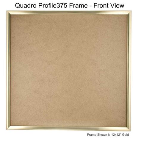 Quadro Frames Gold 20x20 Inch Picture Frame Box Of 1