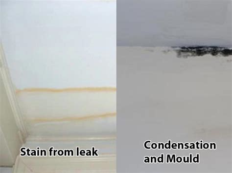 Black mould on ceiling in bedroom. How to Cure Condensation for FREE - Condensation Cure Get ...