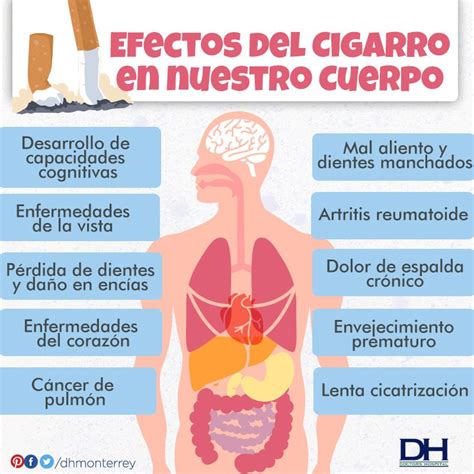 Componentes Del Cigarrillo Y Sus Efectos En El Organismo Pdf Nicotina