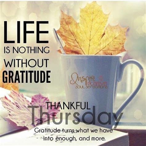 36 Thankful Thursday Inspirational Quotes Roomiladeejay