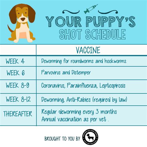 Puppy Vaccines Every Dog Parent Must Know About - Heads Up For Tails