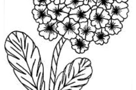 276 dibujos de flores para colorear - Hermosos diseños para darles