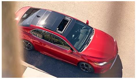 2019 Toyota Camry Price and Trim Levels | Toyota of Naperville