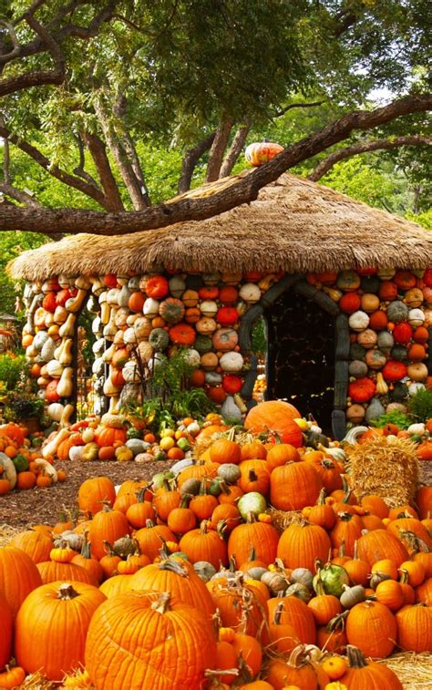 Quirky Outdoor Fall Decorating With Pumpkins And Squash