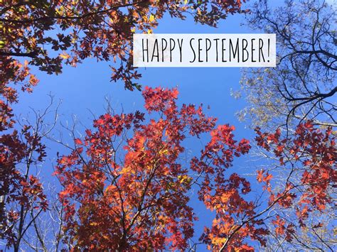 Happy September ~ Letter From The Editor - Pieces of a Mom