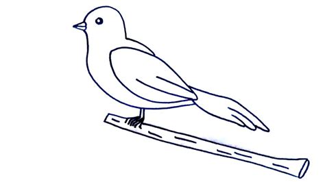 Como Dibujar Un Pájaro Fácil Y Paso A Paso Dibujos Youtube