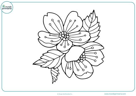 Bonitas Dibujos De Rosas Para Colorear Im Genes Con Dibujos Kawaii Para