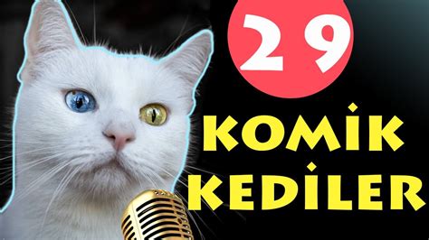 Konuşan Kediler 29 Komik Kediler En Komik Kedi Videoları Pisi Komedi Tv Youtube