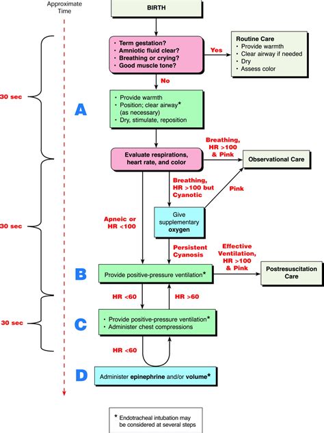 Part 13 Neonatal Resuscitation Guidelines Circulation Chegospl