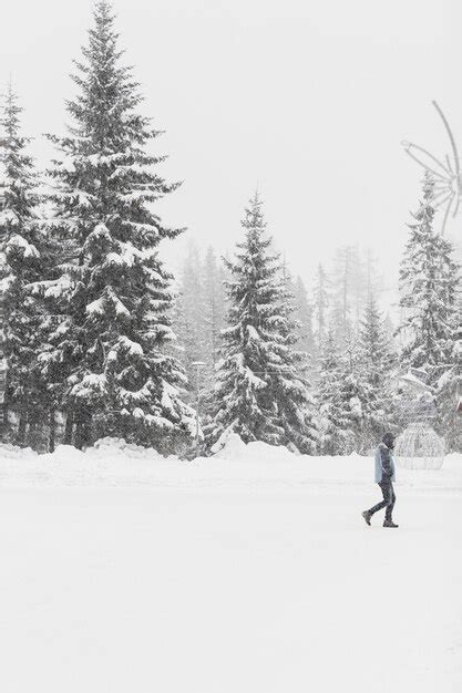 Free Photo Tourist Walking On Snowy Woods