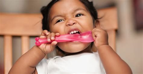 Handling Biting In Infant Toddler Environments Kaplan Early Learning