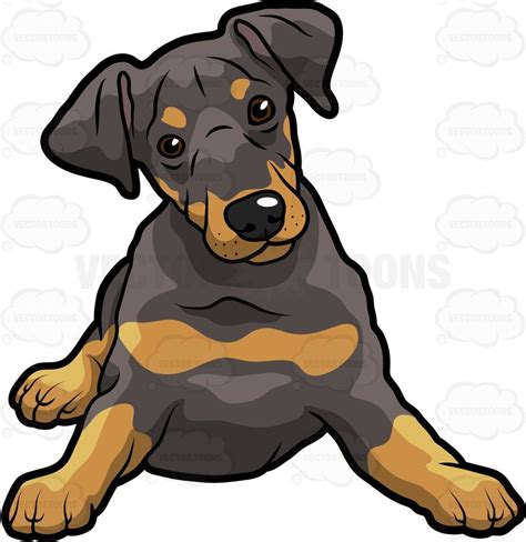 Drawing Doberman Clip Art Use The Initial Small Arc As A Guide To Draw The Rest Of The