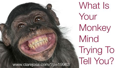 What Is Your Monkey Mind Trying To Tell You Clare Josa Author And