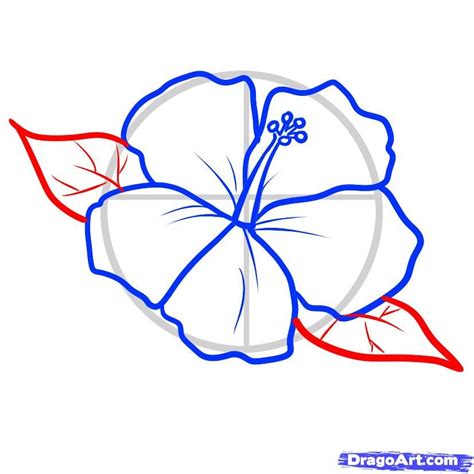 Hibiscus Pattern To Draw How To Draw A Hawaiian Tattoo Step By
