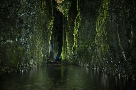 The Oneonta Gorge Trail In Oregon Is Unexpectedly Magical