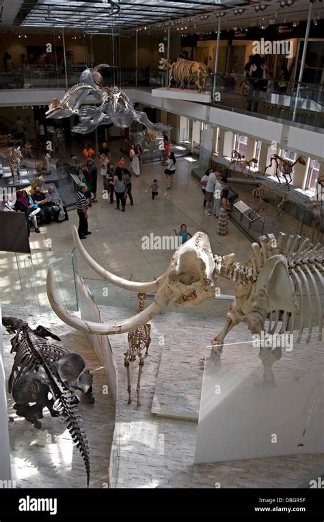Natural History Museum Of Los Angeles County California Stock Photo