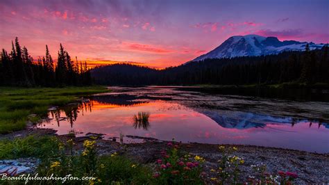 Mount Rainier Of Washington State Travel Guide