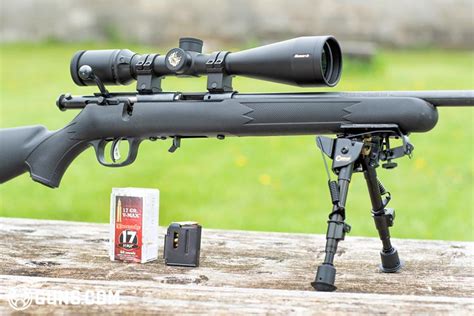 The Savage 93r17 Is A Great Plinking And Varmint Rifle