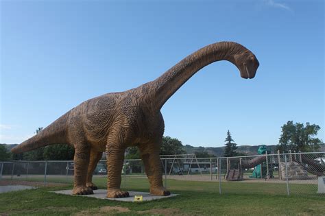 You can also see the 5 photos guesthouse dinosaur trail cabins & cottages. Dinosaur Trail RV Resort & Cabins - Passport America ...