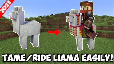 How To Tame And Ride Llama In Minecraft Bedrockpejava Youtube