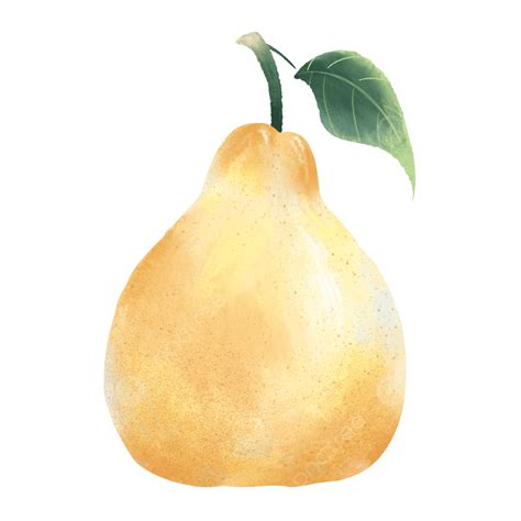 Pears Png Image Pear Hand Drawn Cartoon Pear Pear Element Pear