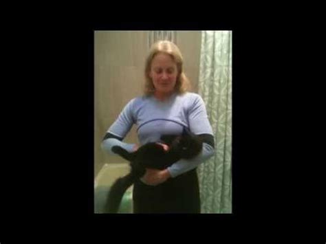 Your cat is telling you something with her tail. How to Express a Cat - YouTube