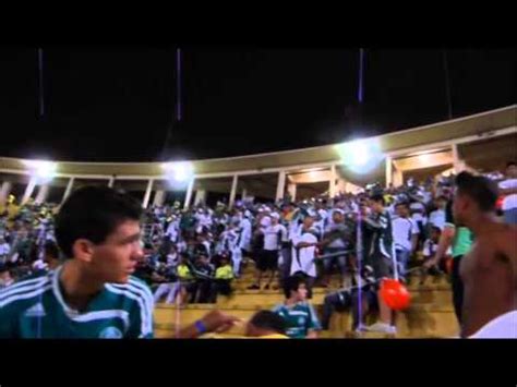 Preview and stats followed by live commentary, video highlights and match report. Palmeiras x Tigre - Aquecimento da Bateria (MV) - YouTube