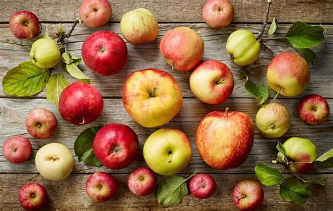 Easy Guide To The Best Apples For Homemade Cider Making