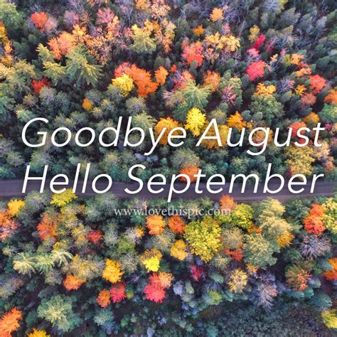 Aerial View Of A Forest Road Goodbye August Hello September Pictures