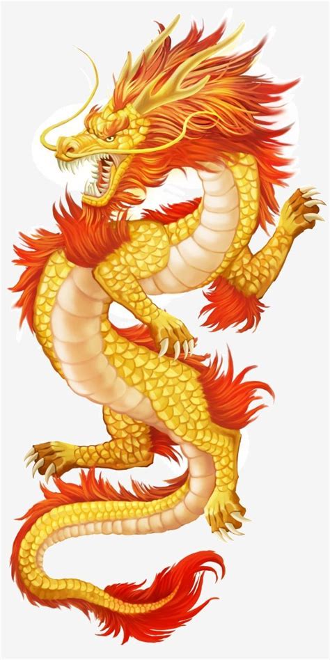 Chinese Style Golden Dragon Decoration Illustration Chinese Style