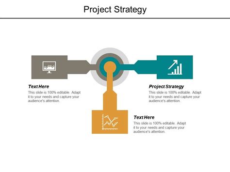 Project Strategy Ppt Powerpoint Presentation Outline Format Ideas Cpb