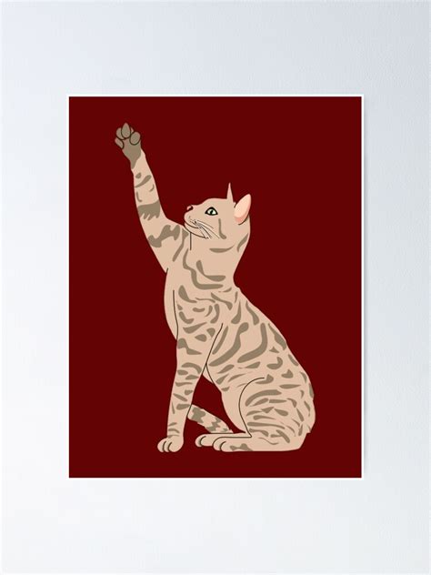 Cats Vs Tiger Cat Vs Tiger Poster By Aliboukhris Redbubble