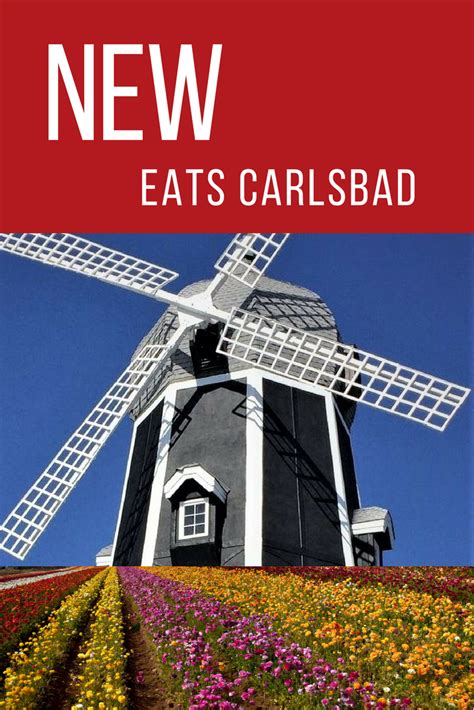 New Eats In Carlsbad Exceptional Restaurants And Talent Chefs