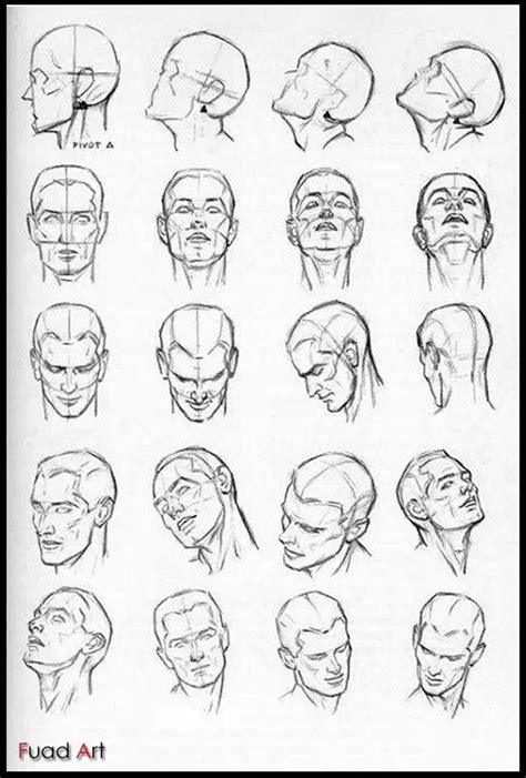 Headface Positions Drawing The Human Head Drawing Heads Drawings