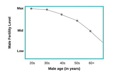 Male Infertility Chart