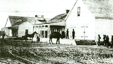 Camel corps into the american southwest. Nouvelle page 0