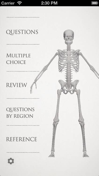 Basic Anatomy For All Bones By Sadatoshi Ito