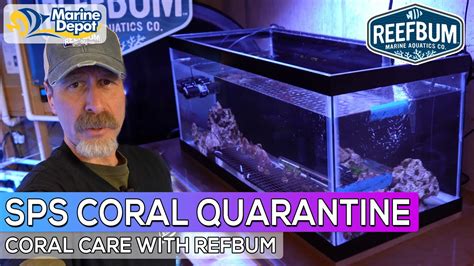 How To Setup A Sps Quarantine Tank Coral Care With Reefbum Youtube