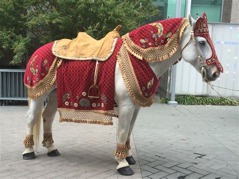 Hunter biden addressed his white lawyer as 'n***a' multiple times, used phrases like 'true dat n***a' and bantered 'i only love you because you're black,' in shocking texts unearthed days after joe's emotional tulsa speech decrying racism. White Horse for Hindu Indian Wedding Baraat