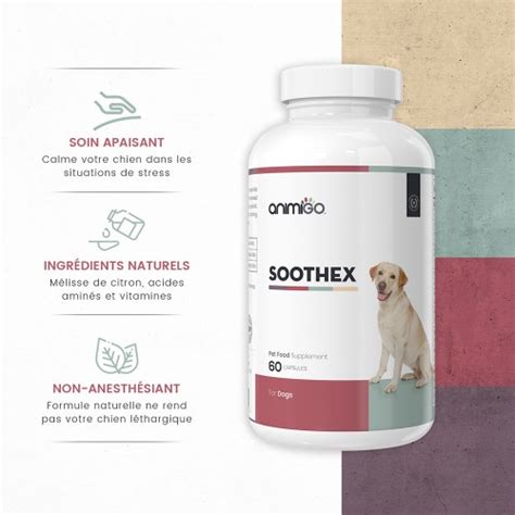 Soothex pour Chiens  Calmant Naturel pour Chiens Anxieux  Animigo