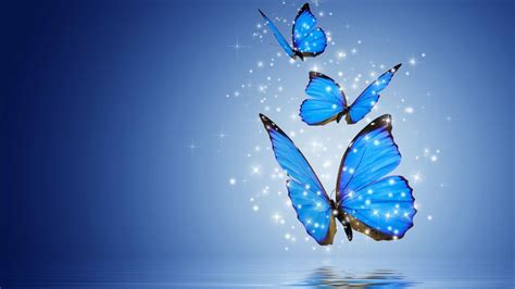 Free Download Blue Butterfly Desktop Wallpapers Top Blue Butterfly