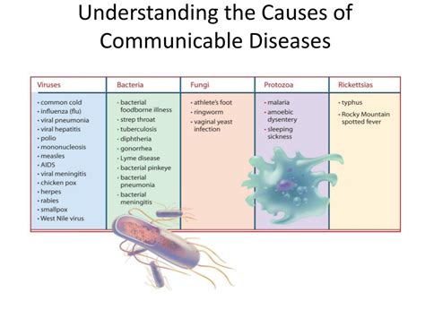 Communicable And Non Communicable Diseases Its Types Causes Hot Sex