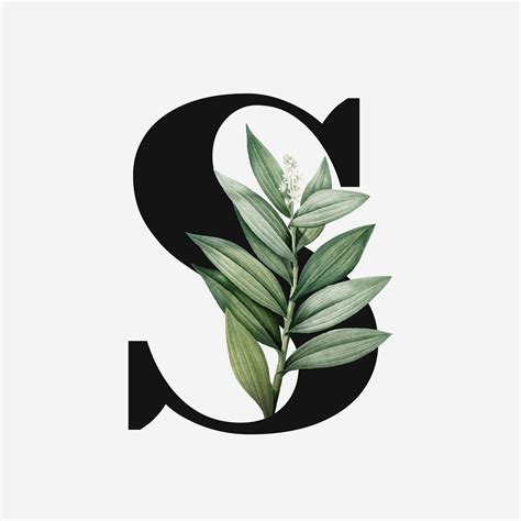 Botanical Capital Letter S Vector Premium Vector Rawpixel