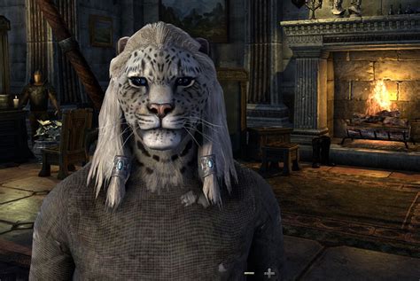 Khajiit In Elder Scrolls Online I Never Liked Playing As A Flickr