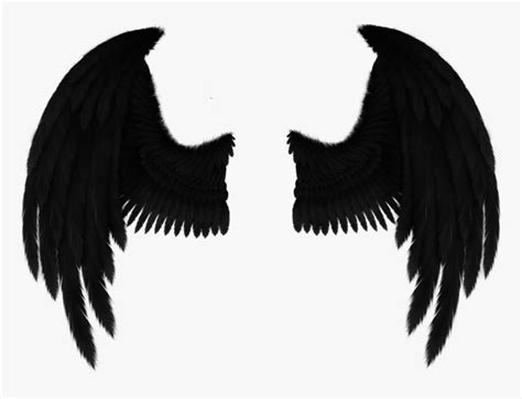 Black Angel Wings Anime Drawing
