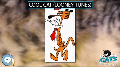 Cool Cat Looney Tunes 🐱🦁🐯 Everything Cats 🐯🦁🐱 Youtube