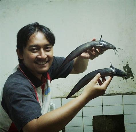 Sebagai negara dengan luas perairan lebih besar daripada daratan, pastinya indonesia memiliki banyak sekali jenis spesies air yang unik. Feri prasetyo H. : Ikan Sembilang Yang Sulit Untuk Didapat ...