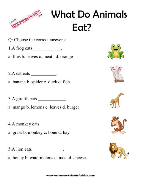What Do Animals Eat Worksheet For Grade 1 3