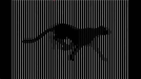 Animated Optical Illusions Information Kurtik